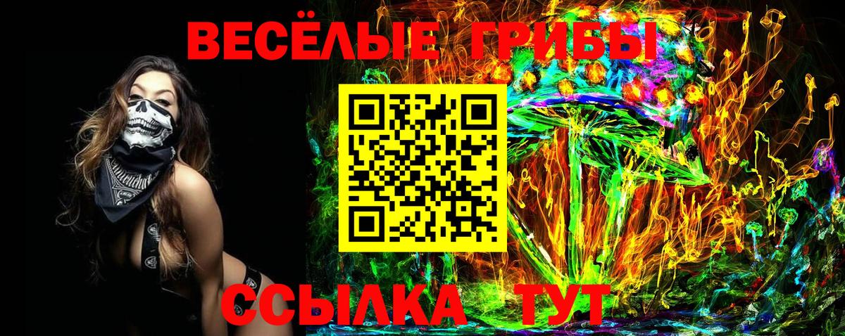 Псилоцибиновые грибы GOLDEN TEACHER  Вход с VPN  Еманжелинск 